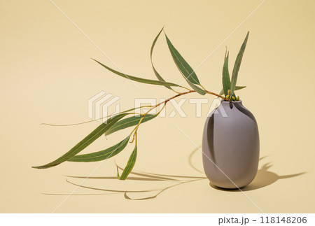 A bouquet of fresh eucalyptus  in a gray vase on a yellow background with shadow. 118148206