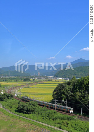 初秋の東海道本線を走る311系列車 118148420