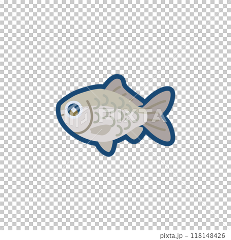 かわいいゲンゴロウブナのイラスト かわいいゲンゴロウブナのイラスト 118148426