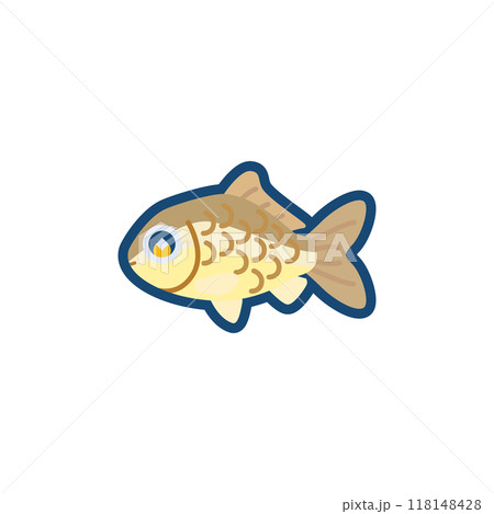 かわいいキンブナのイラスト かわいいキンブナのイラスト 118148428