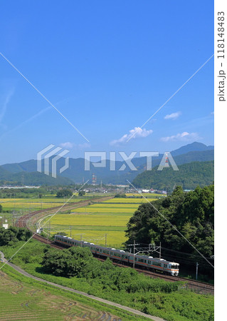 初夏の東海道本線を走る313系列車 118148483