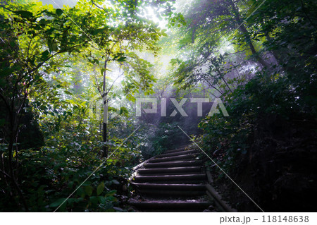 光が差し込む登山道 光が差し込む登山道 118148638