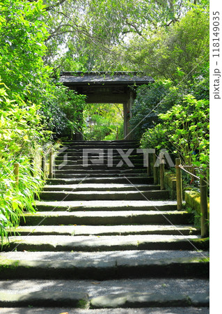 鎌倉　明月院 118149035
