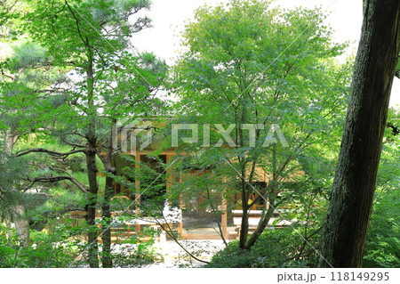 鎌倉　明月院　茶室・月笑軒 118149295