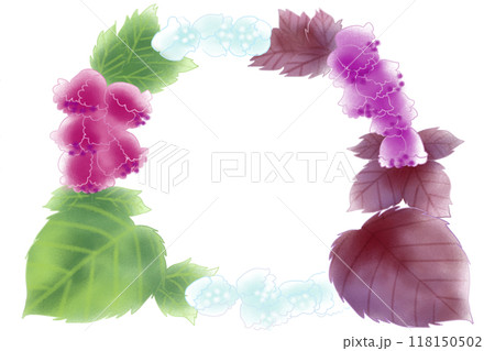 紫蘇の花と葉のカード1 118150502