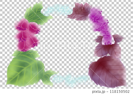 紫蘇の花と葉のカード1 118150502