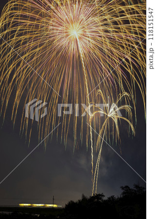 打ち上げ花火とライトレール 打ち上げ花火とライトレール 118151547