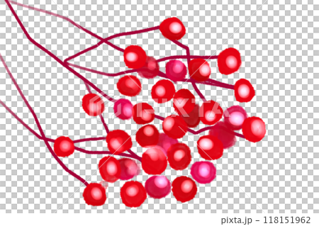 七竈（ナナカマド）のカード4 118151962