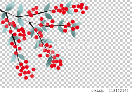 Rowan Card 12 118152142