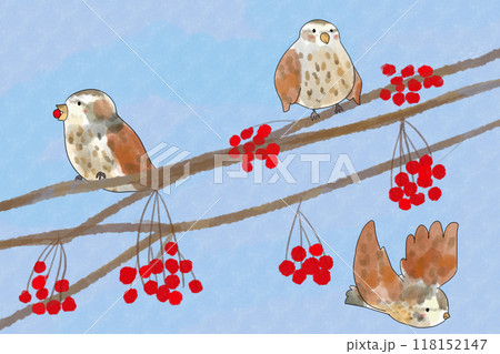 七竈（ナナカマド）と鳥のカード1 118152147