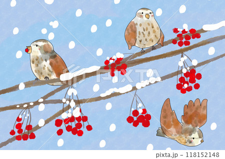 七竈（ナナカマド）と鳥のカード2 118152148