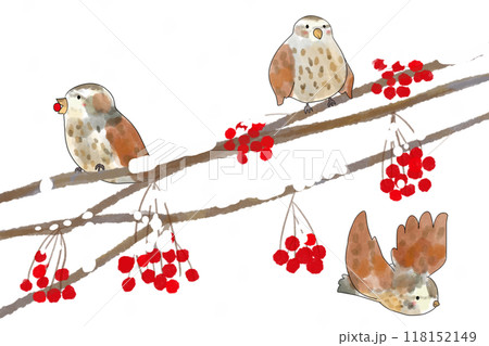 七竈（ナナカマド）と鳥のカード3 118152149