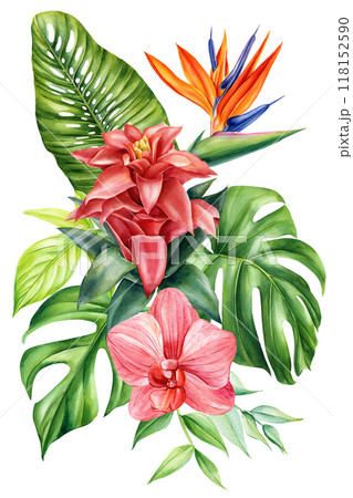 Bouquet flowers watercolor botanical painting isolated. Tropical palm leaf, orchid, hibiscus, paradise exotic flowers Bouquet flowers watercolor botanical painting isolated. Tropical palm leaf, orchid, hibiscus, paradise exotic flowers 118152590