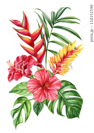 Bouquet flowers watercolor botanical painting isolated. Tropical palm leaves, red hibiscus, paradise exotic flowers 118152596