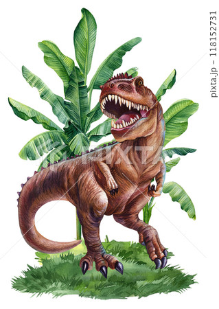 Tyrannosaurus dinosaur Jurassic plant isolated. Hand draw watercolor illustration for encyclopedia ancient animals Tyrannosaurus dinosaur Jurassic plant isolated. Hand draw watercolor illustration for encyclopedia ancient animals 118152731