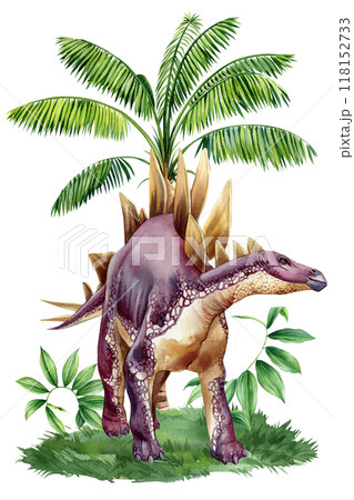 Realistic dinosaur Jurassic plant isolated. Hand draw watercolor dinosaurs illustration Stegosaurus, ancient animals 118152733