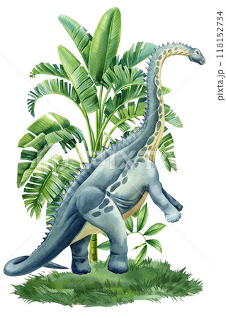 Realistic dinosaur Jurassic plant isolated. Hand draw watercolor dinosaurs illustration for encyclopedia ancient animals Realistic dinosaur Jurassic plant isolated. Hand draw watercolor dinosaurs illustration for encyclopedia ancient animals 118152734