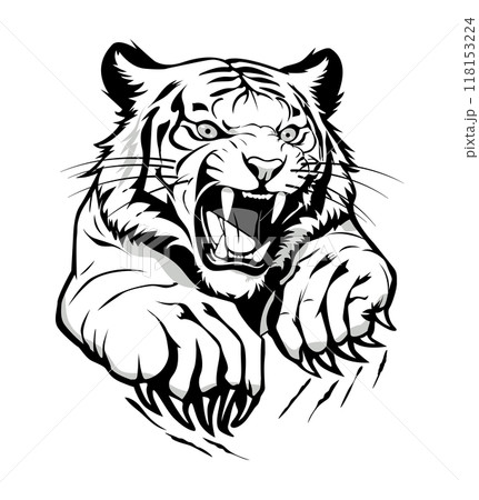 Tiger with sharp claws 118153224