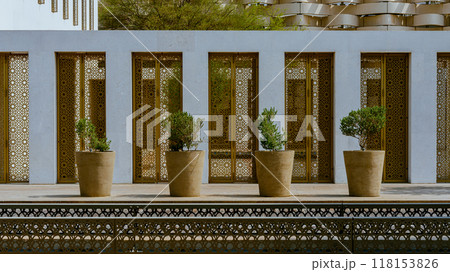 interior design of a modern street with greenery in flowerpots. High quality photo interior design of a modern street with greenery in flowerpots. High quality photo 118153826