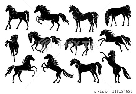Horse silhouette. Black and white rearing stallion, wild mustang. Equestrian animal race, farm speed. Mustang jumping running, trotting. Vector icon, logo isolated illustration set Horse silhouette. Black and white rearing stallion, wild mustang. Equestrian animal race, farm speed. Mustang jumping running, trotting. Vector icon, logo isolated illustration set 118154659