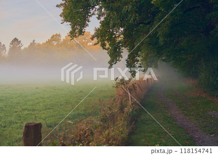 rural pathway on misty autumn morning 118154741