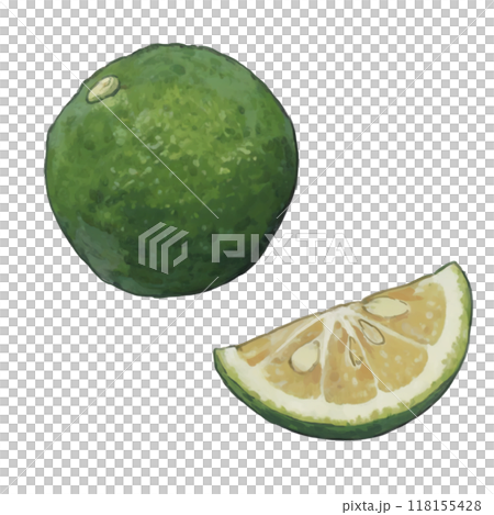 すだちのイラスト01 すだちのイラスト01 118155428