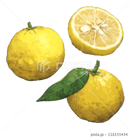 柚子のイラストセット 118155434