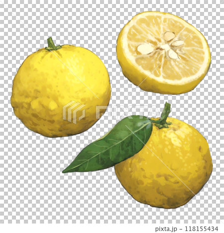 Yuzu illustration set 118155434
