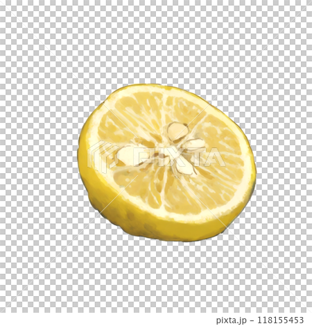 Illustration of cut yuzu 118155453