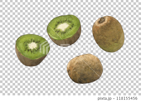 Green kiwi illustration set 118155456