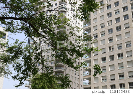 Houses in Tel Aviv through the foliage of tall trees. 118155488