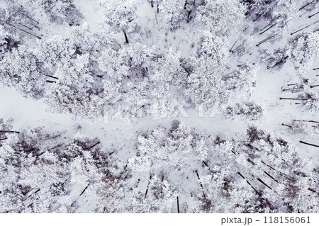 Winter road in snow covered forest, aerial view. Estonia. 118156061