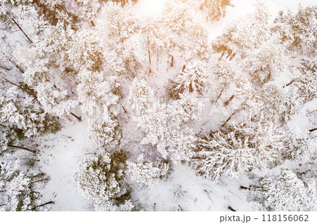 Forest in Estonia, covered with snow, aerial view. Winter seasonal landscape Forest in Estonia, covered with snow, aerial view. Winter seasonal landscape 118156062
