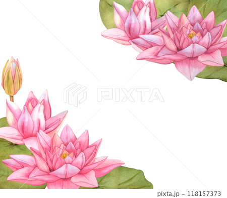 Watercolor Lotus Flower Frame. Hand Drawn Water Lily botanical Illustration with green leaves on isolated background. Pink tropical Flowers for invitations, print and card design 118157373