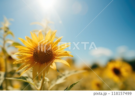 Summer sizzle - navigating high air temperatures with water as a key cooling method, providing practical solutions to beat the heat and stay refreshed amidst scorching summer days. Summer sizzle - navigating high air temperatures with water as a key cooling method, providing practical solutions to beat the heat and stay refreshed amidst scorching summer days. 118157499