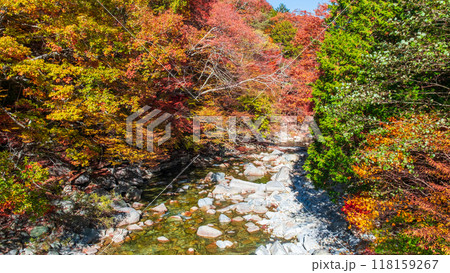 赤沢渓谷（秋） 118159267