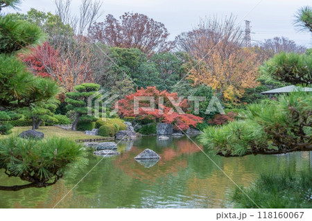 松の木越しに見る静寂に包まれた秋の日本庭園の絶景 118160067
