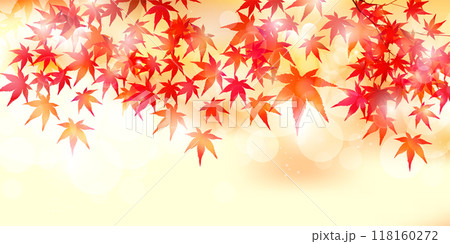 紅葉　葉　秋　背景	 118160272