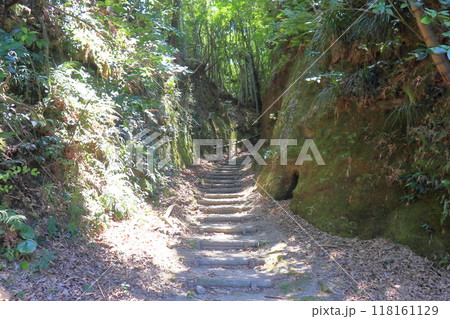 佐土原城跡の登城路(宮崎県宮崎市) 佐土原城跡の登城路(宮崎県宮崎市) 118161129