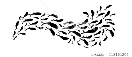 A school of fish in a wave silhouette pattern. This underwater scene captures the essence of marine life in the ocean, forming unique shapes in the water. For border ornament or logo design. 118161265