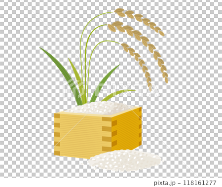 Newly harvested rice and ears of rice in a measuring cup: vector illustration of rice celebrating the harvest season 118161277
