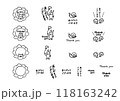 シンプルな手描きのイラストセット　ありがとう、Thank you　1 118163242