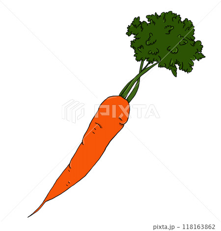 Carrot orange one isolated in simple digital style Carrot orange one isolated in simple digital style 118163862