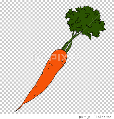 Carrot orange one isolated in simple digital style Carrot orange one isolated in simple digital style 118163862