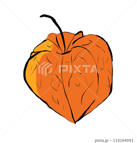 Orange physalis pop art illustration, simple digital style Orange physalis pop art illustration, simple digital style 118164091