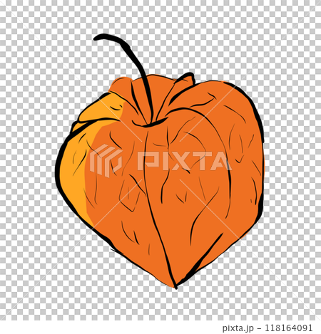 Orange physalis pop art illustration, simple digital style Orange physalis pop art illustration, simple digital style 118164091