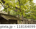伊勢神宮・外宮（正宮） 118164099