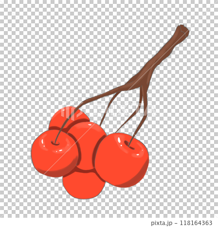 Bunch of red berries, color illustration	 118164363