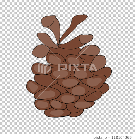 Brown Christmas tree cone, color illustration Brown Christmas tree cone, color illustration 118164369
