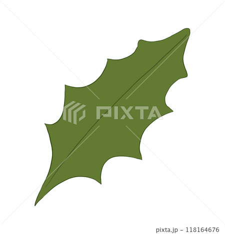 Green leaf of holly plant, color illustration	 118164676